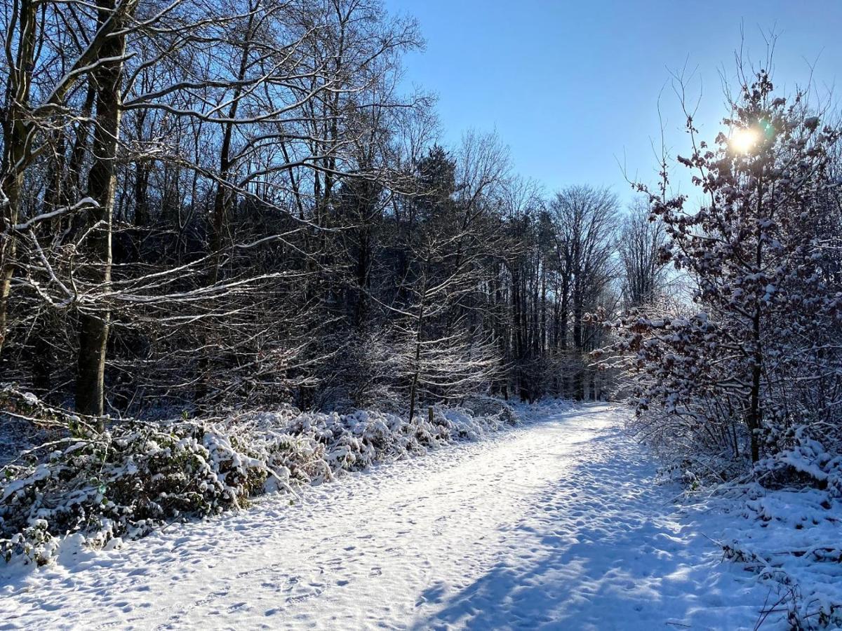 Vakantiewoning Hakuna Matata Geraardsbergen Esterno foto