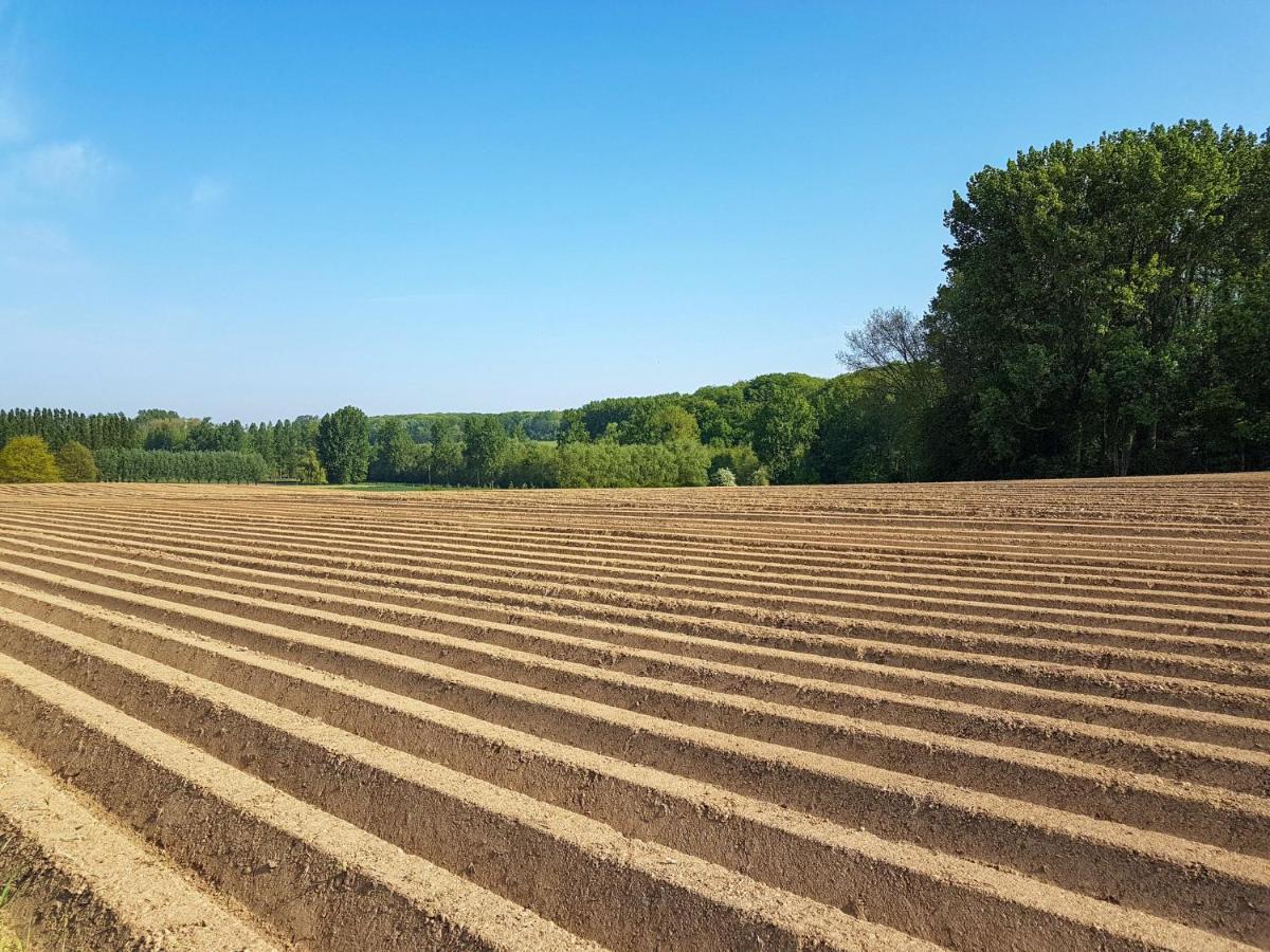 Vakantiewoning Hakuna Matata Geraardsbergen Esterno foto