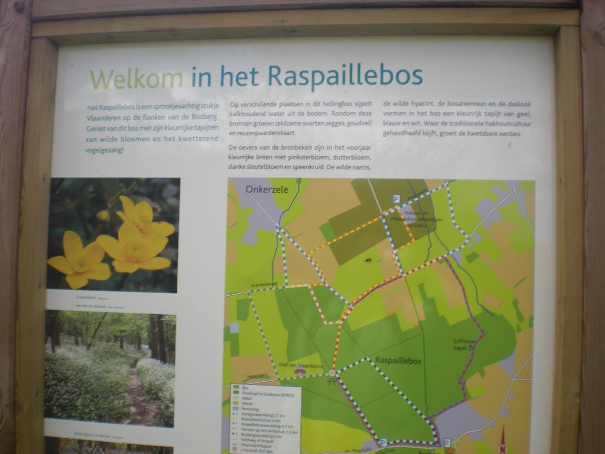 Vakantiewoning Hakuna Matata Geraardsbergen Esterno foto