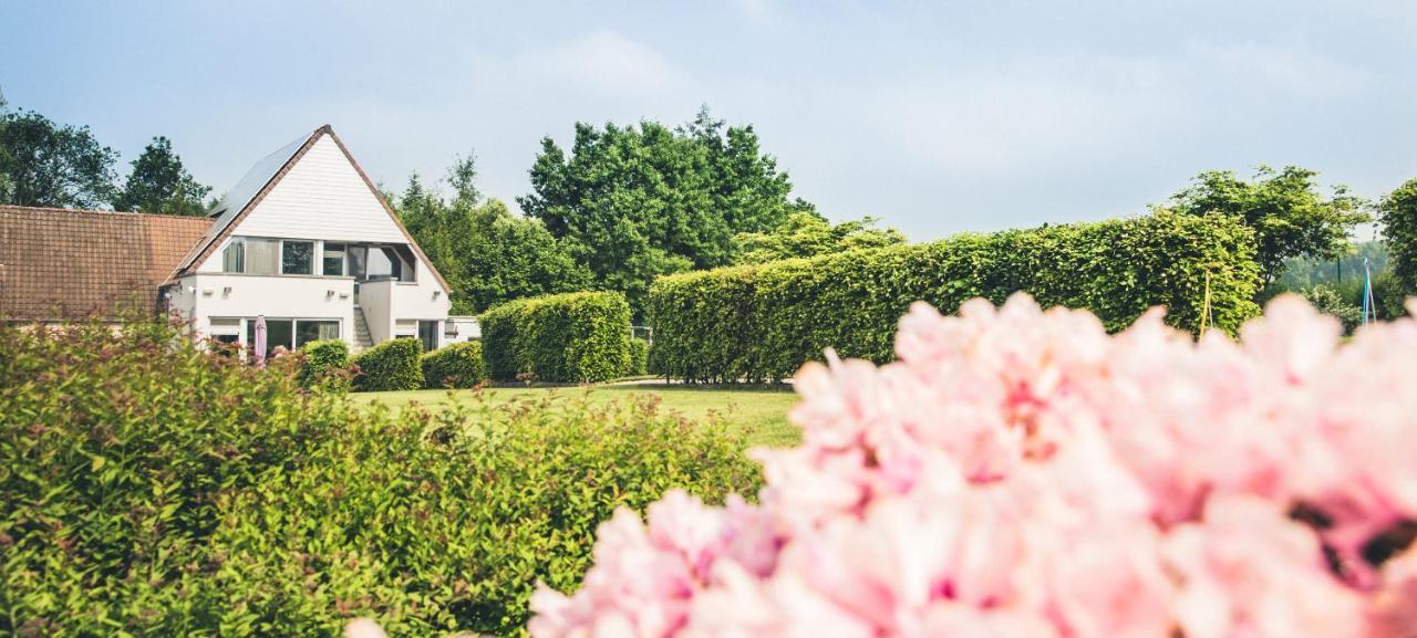 Vakantiewoning Hakuna Matata Geraardsbergen Esterno foto